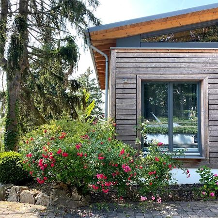 Balthasar Ress Guesthouse Am Rebhang Im Rheingau Oestrich-Winkel Kültér fotó