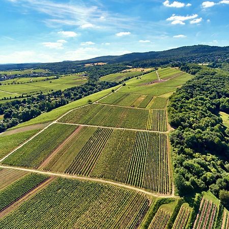 Balthasar Ress Guesthouse Am Rebhang Im Rheingau Oestrich-Winkel Kültér fotó