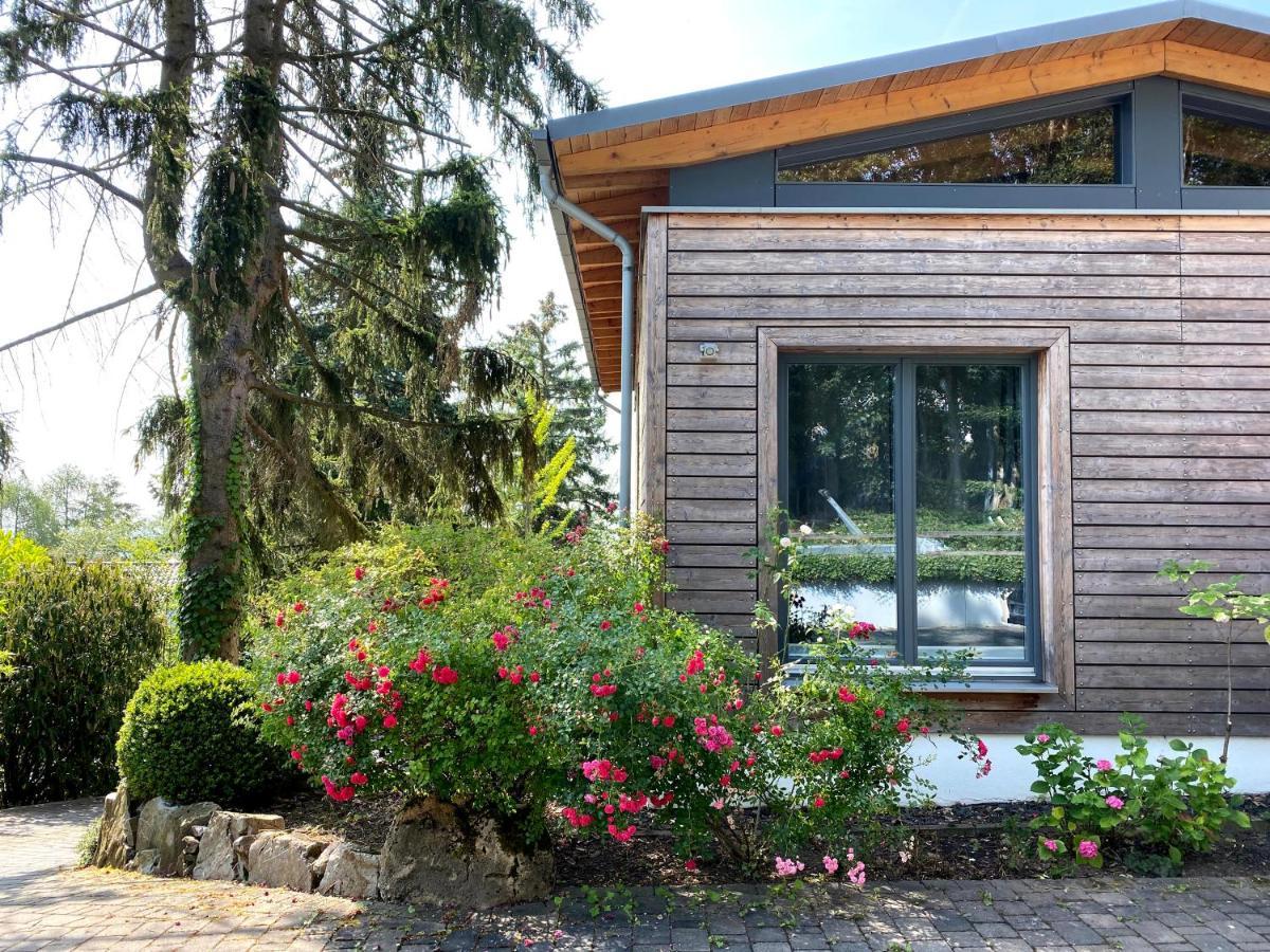 Balthasar Ress Guesthouse Am Rebhang Im Rheingau Oestrich-Winkel Kültér fotó